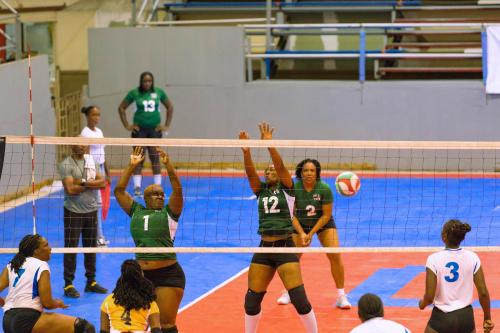 ECVA Senior Women VB D2-221013-0025