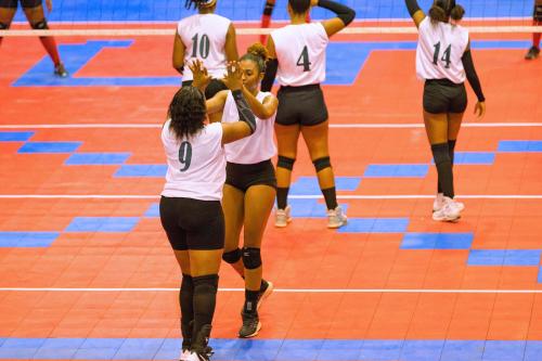 ECVA Senior Women VB D2-221013-0089